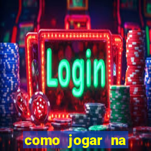 como jogar na lotinha do jogo do bicho